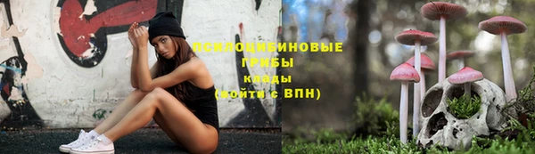 прущие крисы Мегион