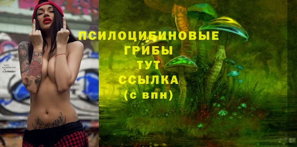 ECSTASY Медвежьегорск