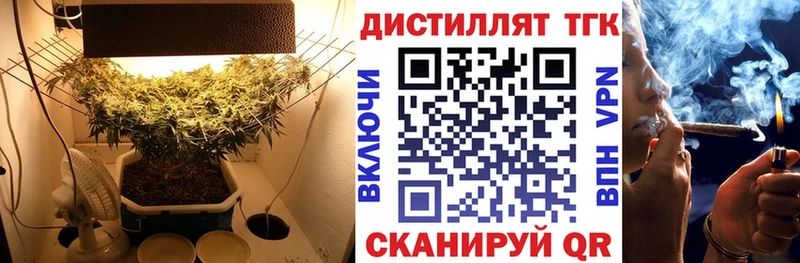 Купить закладки  Шебекино  ТГК концентрат 