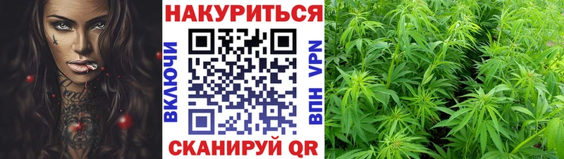 Шишки марихуана MAZAR Шебекино