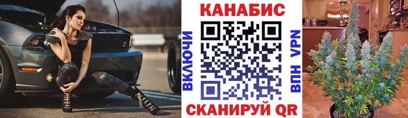 Бошки марихуана Amnesia  Купить закладки  Шебекино 